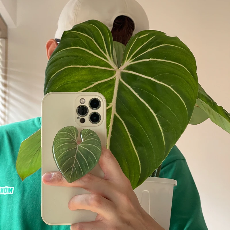 Soporte para teléfono de hoja  - Tech Accessories Phone reseña y precio